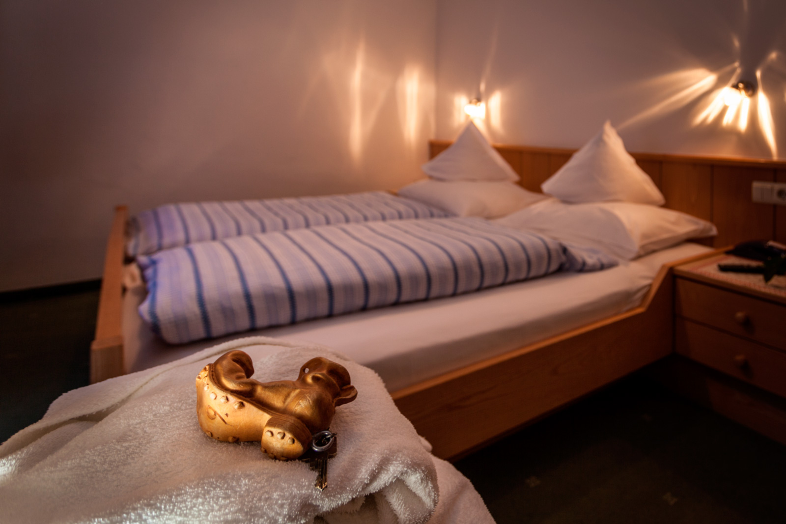 Tipo C - camera doppia Alpenrose